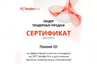 О вручении сертификата «Лидер тендерных продаж» 2025 в Тюмени 